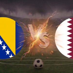 Bosnia y Herzegovina vs Catar VIP